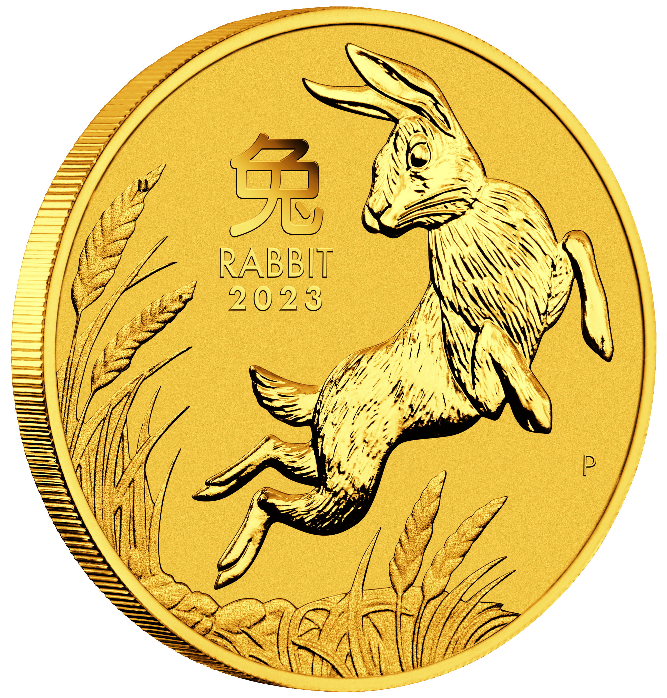 Gold 10oz Perth Lunar Rabbit 2023